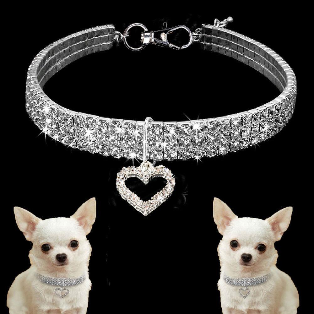 Gold dog Chain - Crystal Heart Pets Collar