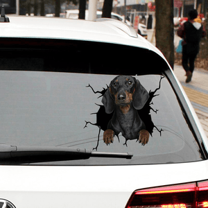 Dog Car Stickers