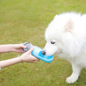 Outdoor Portable Kettle for Pet