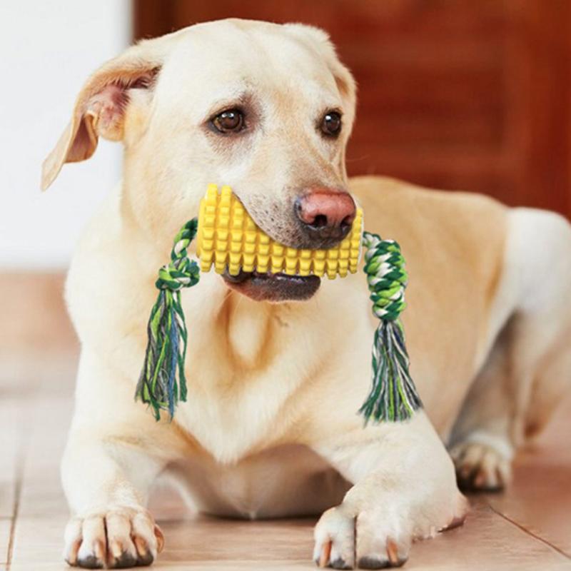 Pet Teeth Grinding Toy