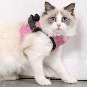 Cat Vest Harness and Leash