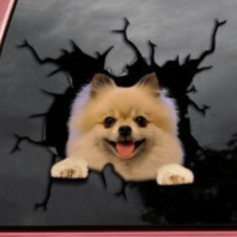 Dog Car Stickers