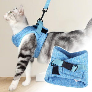 Cat Vest Harness and Leash