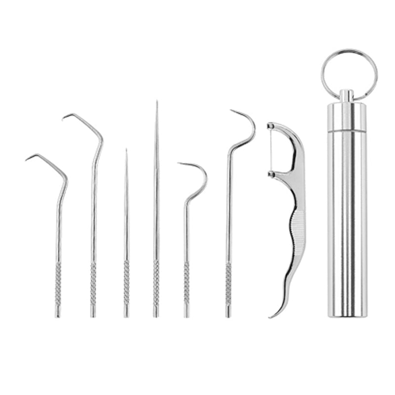 Stainless Steel Toothpick Set