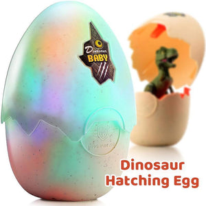 Hatching Egg Dinosaur Toy