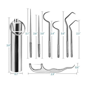 Stainless Steel Toothpick Set