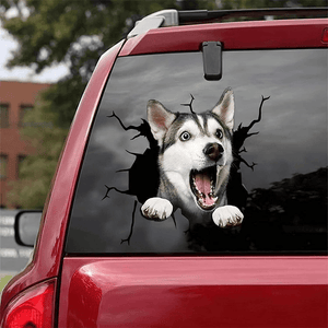 Dog Car Stickers