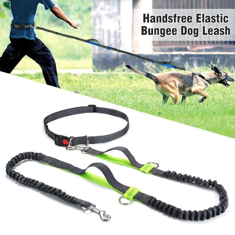 Handsfree Elastic Bungee Dog Leash