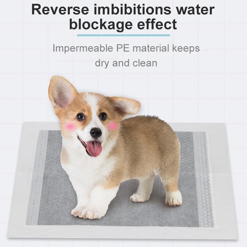 Pet Pee Pads