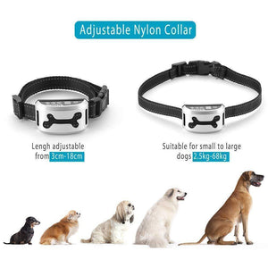 Hirundo Anti-bark Dog Collar Device