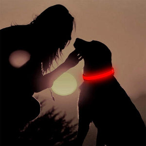 Dog LED Collars