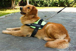 Reflective all-in-one No Pull Dog Harness