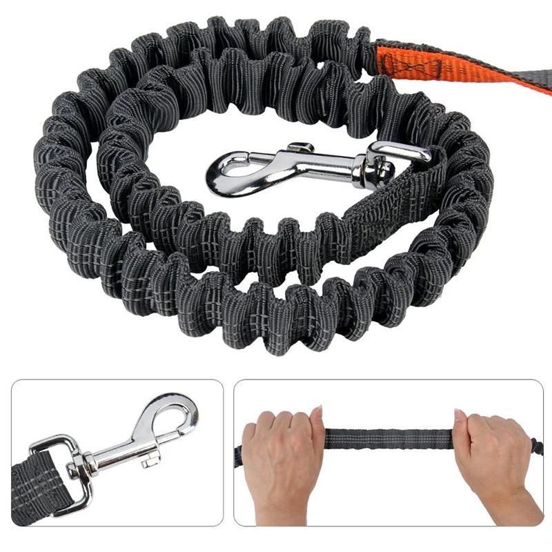 Buddy Bungee Dog Leash