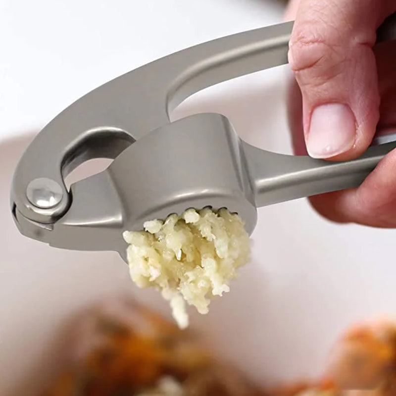 Stainless Steel Garlic Press