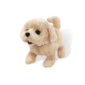 Realistic Teddy Dog Lucky