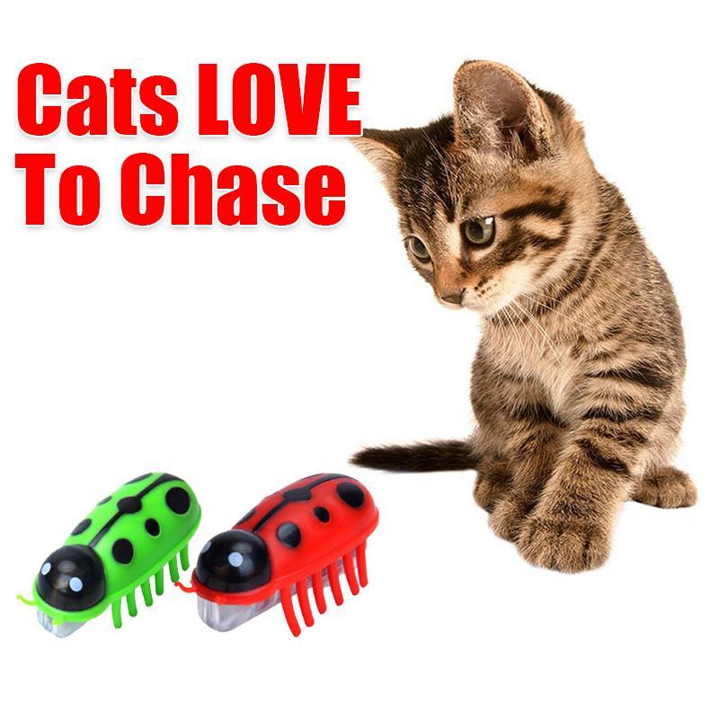 Super Robot Bug Toy for Cats - 2 Pcs