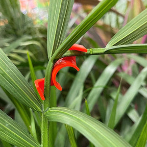 90 Degree Plant Bender