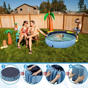 Portable Paw Pool