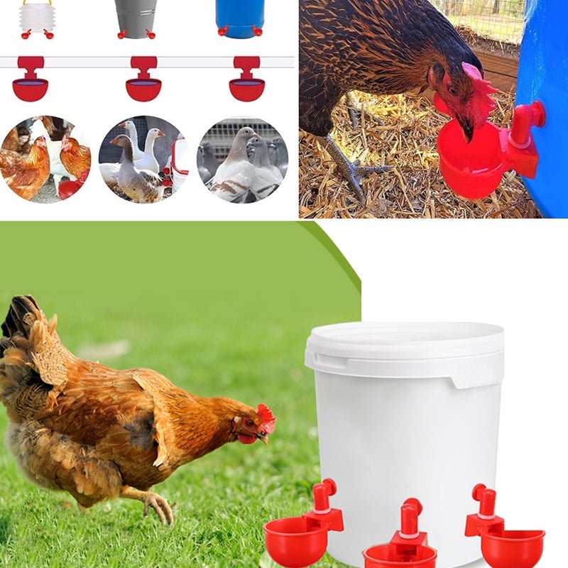 Automatic Poultry Waterer (6 PCS)