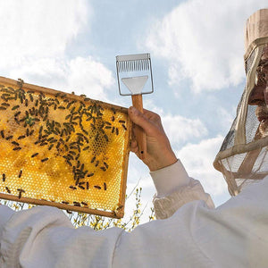 Honey Uncapping Scraper