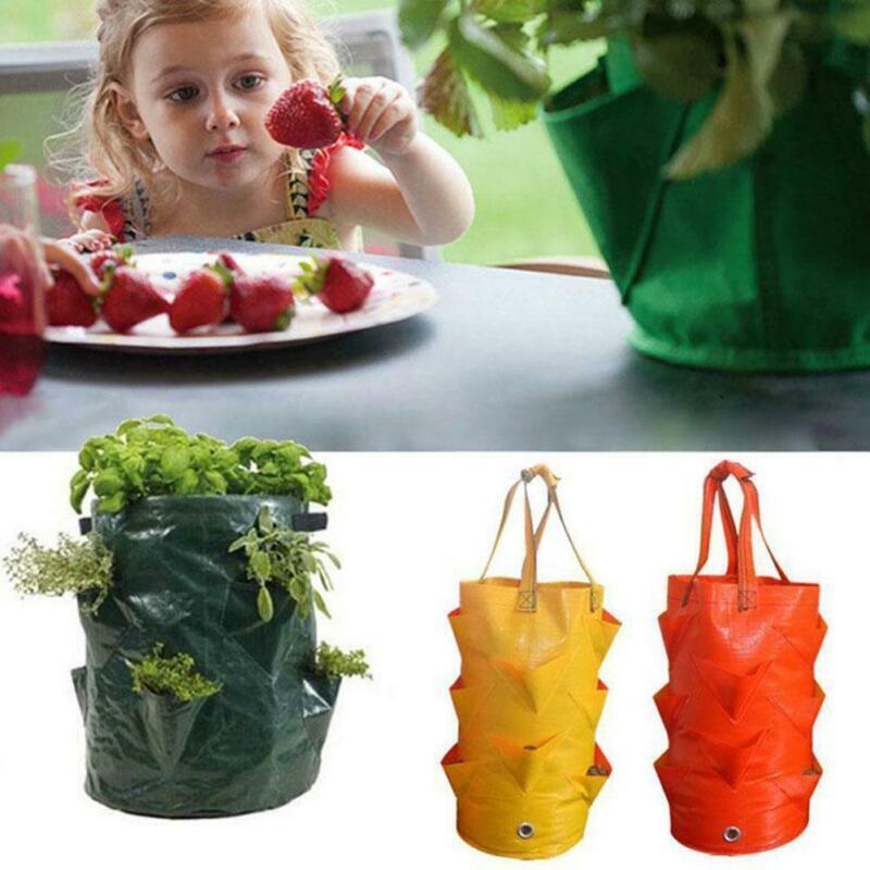 Strawberry Planting Grow Bag