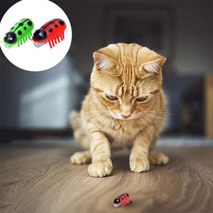 Super Robot Bug Toy for Cats - 2 Pcs