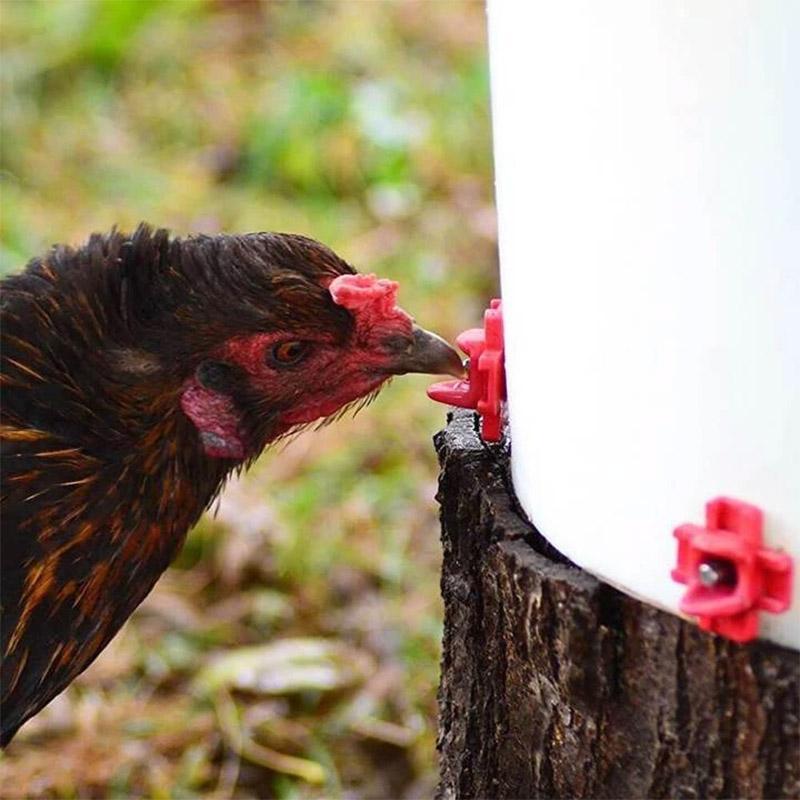 Horizontal Side Mount Chicken Waterer (10 PCS)