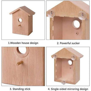 DIY Sucker Bird Nest